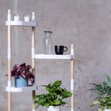 Autres objets connectés - Étagère pour plantes à 4 plateaux et arrosage automatique - CITYSENS