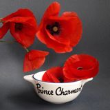 Couverts & ustensiles de cuisine - PRINCE CHARMANT - BOL BRETON REVISITÉ - PIED DE POULE
