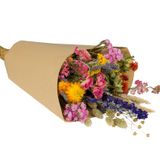 Décorations florales - Bouquet de Champs - Fleurs sèchées - multicolor – medium - PLANTOPHILE