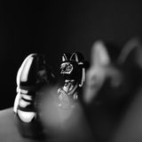 Design objects - Maneki Neko / Lucky Cats Egypt - DONKEY PRODUCTS