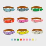Pet accessories - HEYLOOP premium leather leash and neck collar for pet - HEYLOOP