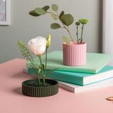 Vases - Blossom - Vase duo - PA DESIGN