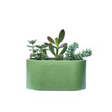 Window boxes - Colored concrete planter - JUNNY