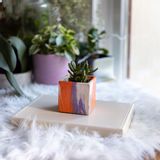 Decorative objects - TIE&DIE CONCRETE POT FOR GREEN PLANT - JUNNY