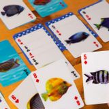 Jouets enfants - CARTES 3D POISSONS - KIKKERLAND