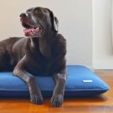 Objets design - PANIER POUR CHIEN OU CHAT EDEN - BOGAREL