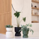 Pottery - TWIST - plant basket. - HANDED BY