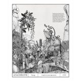 Poster - Art poster - Jungle of the just lost - ANACHRONES