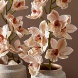Décorations florales - Cymbidium - Lou de Castellane - Fleurs Artificielles - LOU DE CASTELLANE