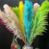 Décorations florales - PAMPAS - FG IMPORTS