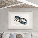 Poster - Poster The Lobster - Reproduction on art paper - VAREK ILLUSTRATIONS