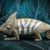 Decorative objects - Chameleon Mother of pearl Box - WILD BY MOSAIC