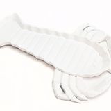 Objets de décoration - COUPELLE HOMARD BLANC - - AMADEUS