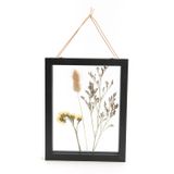 Frames - FRAME NATURE PM - - AMADEUS