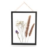 Cadres - CADRE NATURE MM - - AMADEUS