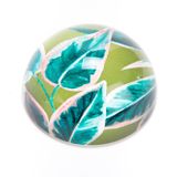 Presse-papier - PRESSE PAPIER LIVIA VERT - - AMADEUS