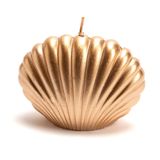 Bougies - BOUGIE COQUILLAGE DORE - - AMADEUS