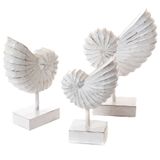 Other wall decoration - S3 SHELL WOOD TO PUT - - AMADEUS