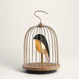 Objets design - DAQICONCEPT JINGOO-Gold Black - DAQICONCEPT