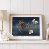 Poster - Art poster - Naïde of the dark waters - ANACHRONES