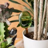Design objects - TWO TONE WATER DISPENSER - AMABRO