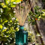 Parfums d'intérieur - CHIMERA DI AGRUMI PARFUM D’AMBIANCE - ERBARIO TOSCANO