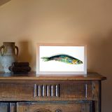 Lampes à poser - Sardine - aquarium à vision - CHARLOTTE MASSIP
