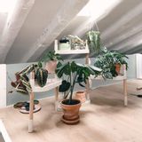 Floral decoration - Modular Plant Shelves - CITYSENS