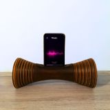 Speakers and radios - Wenge Mango Wood Striller Speaker - COCOONME