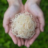Gifts - Mokumen,EssentialOil - JAPAN KOCHI CRAFT