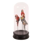 Objets design - Bell jar with parrot - DUTCH STYLE