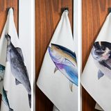Dish towels - Set of 3 printed tea towels 100% cotton: Fishes of our shores - VAREK ILLUSTRATIONS