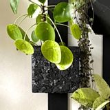 Other wall decoration - Natural slate wall planter, RAFA recycled slate face - LE TRÈFLE BLEU