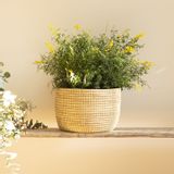 Flower pots - POT African basket Pot cover Uni Color Ø 35 cm - 13.5’’ / H 25 cm - 11.5’’ - KAWOBAZAAR