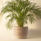 Pots de fleurs - POT XL Panier Africain Cache pot Corbeille H 35 cm / Ø 45 cm - KAWOBAZAAR