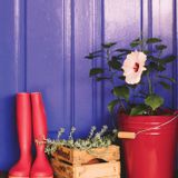 Peintures et vernis - PEINTURE BIOSOURCÉE VIOLET MYSTIQUE - CAMAËLLE PEINTURES BIOSOURCÉES