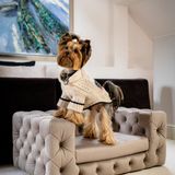 Objets design - Canapé pour chien haut de gamme GLAMOUR - PET EMPIRE