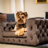 Objets design - Canapé de luxe pour chien Glamour - PET EMPIRE
