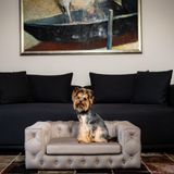 Objets design - Lit pour chien haut de gamme Royal - PET EMPIRE