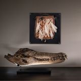 Pièces uniques - Crânes de Crocodylus Porosus - Les Irrésistibles - ATELIERS C&S DAVOY