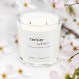 Bougies - Bougie Iconic Cerisier Sakura - FARIBOLES