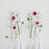 Vases - Vase Dancer , en biscuit de porcelaine, H22cm, L19cm - YLVAYA DESIGN