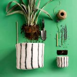 Aménagements pour bureau - Pots de fleurs - AVEVA DESIGN