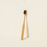 Beauty products - Feel good black horse hair bamboo toothbrush - TAIWAN CRAFTS & DESIGN