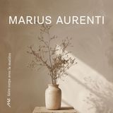 Enduits et stucs - Chaux en pâte - MARIUS AURENTI