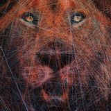 Paintings - LION / ARTWORK / CONTEMPORARY ART / WALL DECORATION - ART NITKA