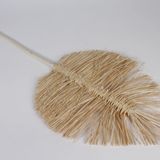 Floral decoration - Bleached dried raffia sheet H107cm - LE COMPTOIR.COM