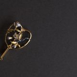 Brooches - Brooch - SOUYU