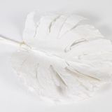Floral decoration - Monstera stabilisée blanchie - LE COMPTOIR.COM