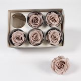 Floral decoration - Hazel brown stabilized roses - LE COMPTOIR.COM